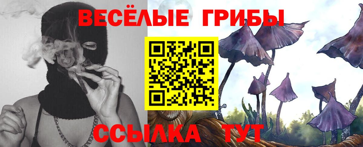 Псилоцибиновые грибы мицелий Партизанск
