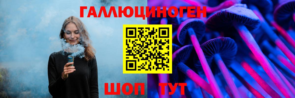 Галлюциногенные грибы Psilocybe  Вход с VPN  Партизанск  Галлюциногенные грибы мицелий 
